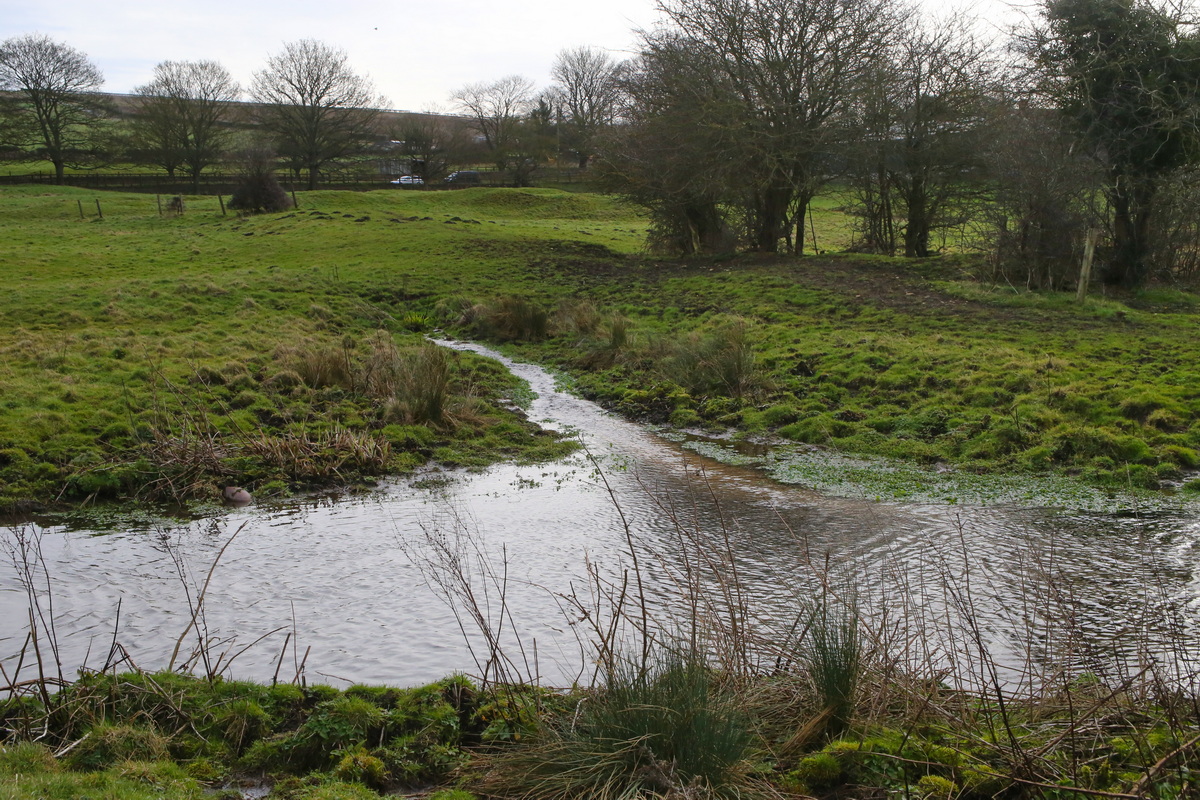 Ings Beck, Newbald - directly fed by chalk springs