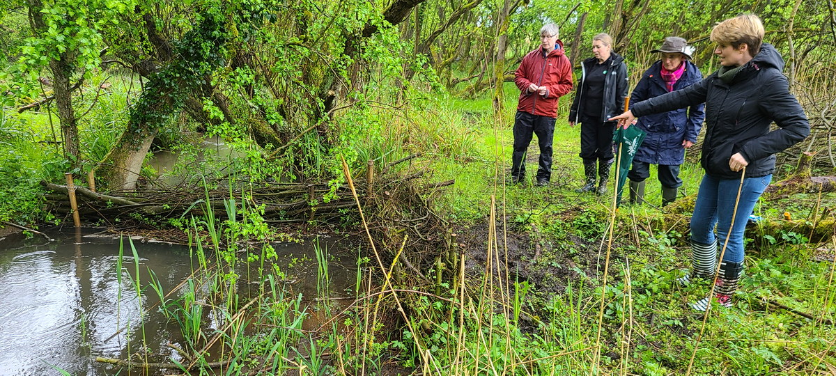 Emma Hardy MP inspects a leaky barrier on Drewton Beck