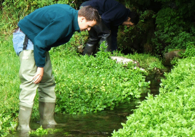 People sampling a freshwater stream