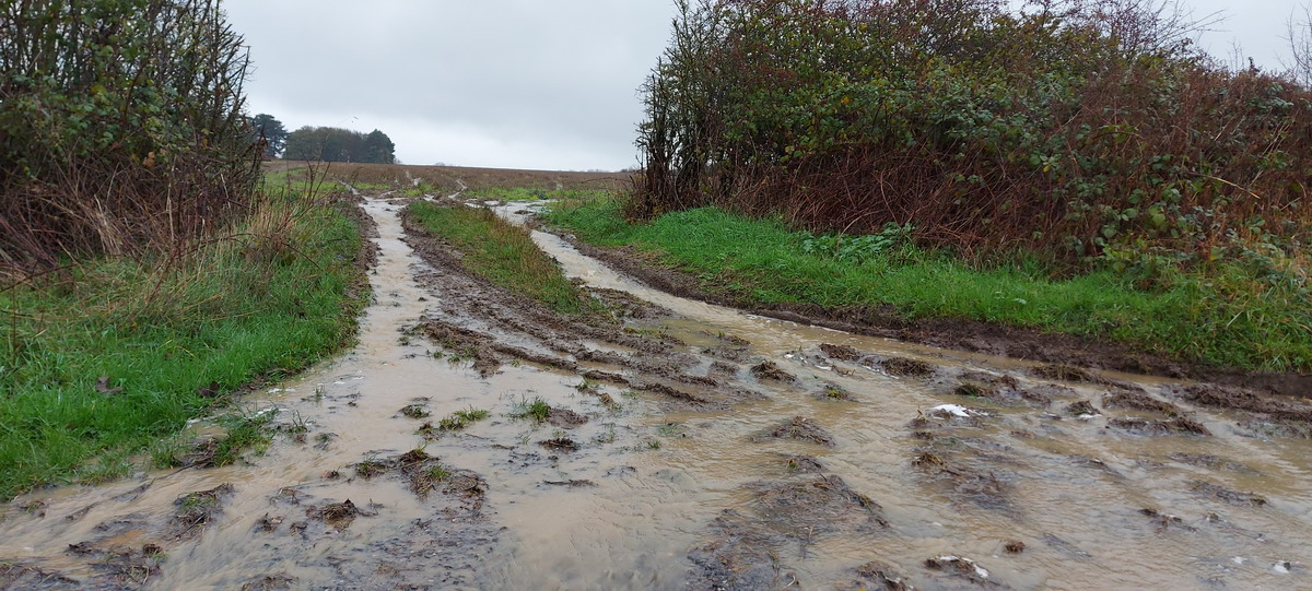 Storm water run-off from a field