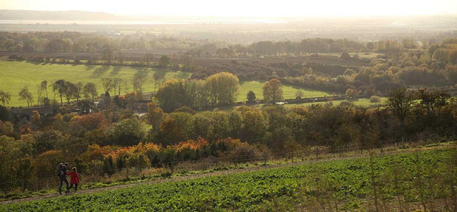 A view across the West Wolds landscape near Drewton.